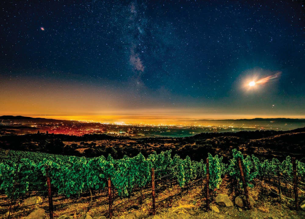 Lobo Wine Napa Valley