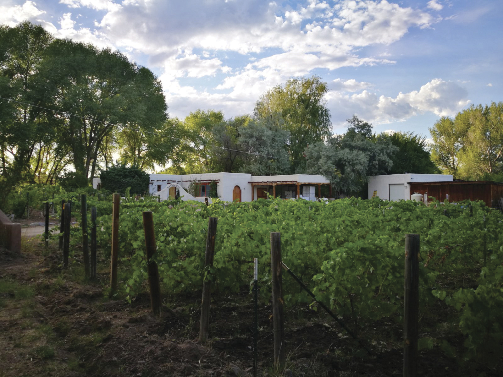 New Mexico’s Wine Region: Searching for Style