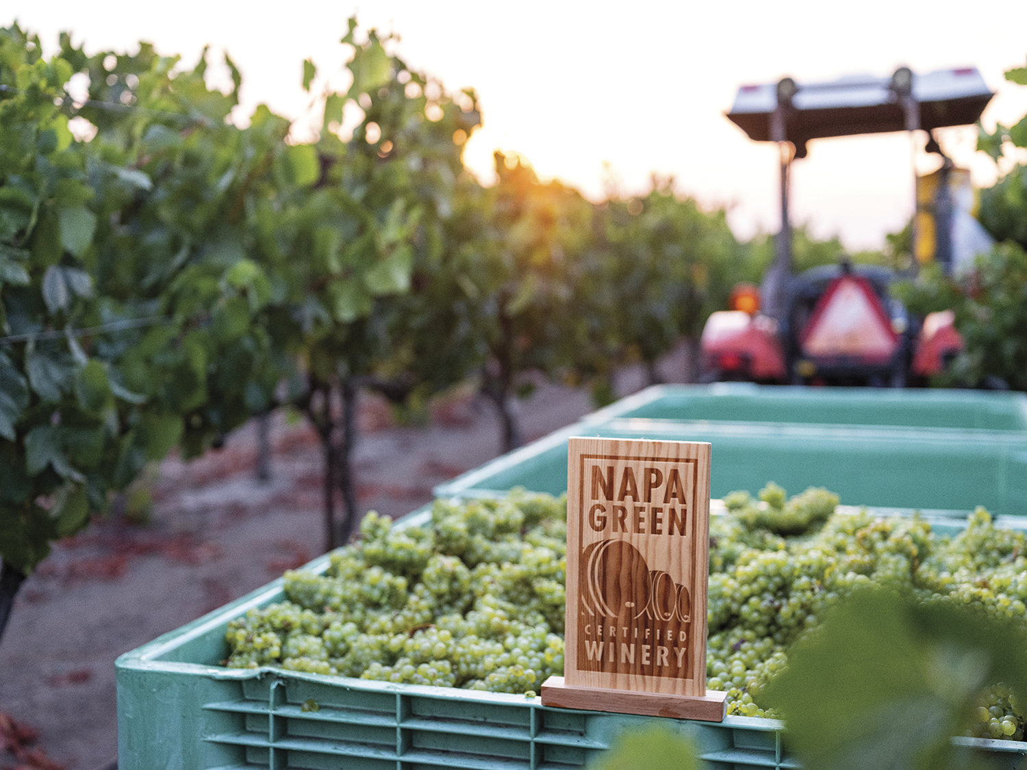 Napa Green: Leading the Movement Towards a More Sustainable Wine Industry