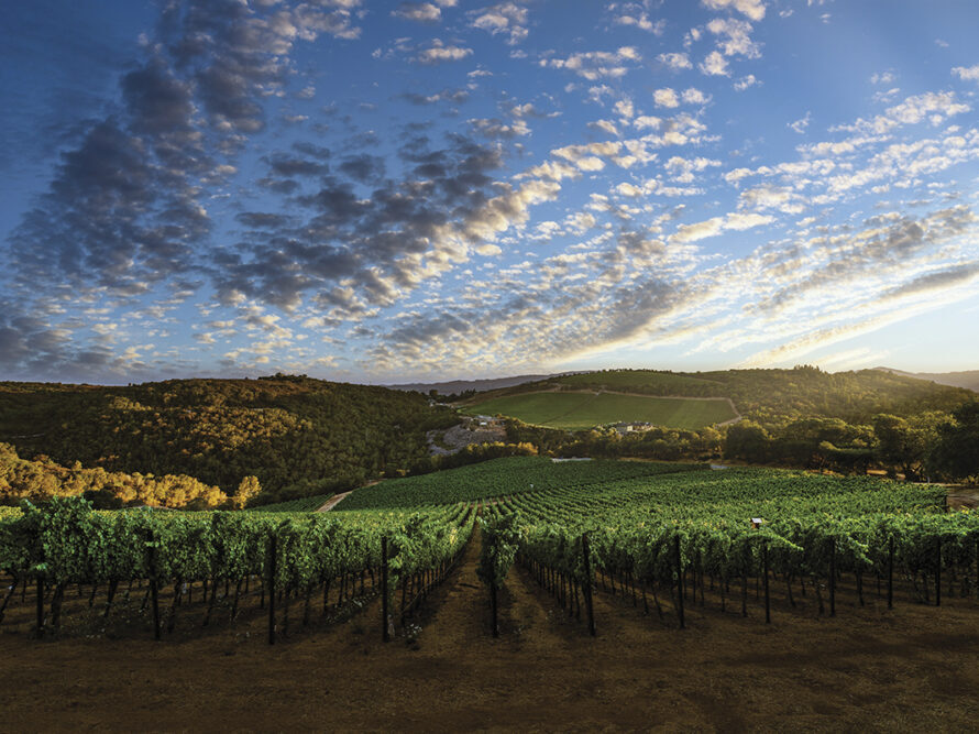 The Future of California’s Bordeaux-Producing Regions