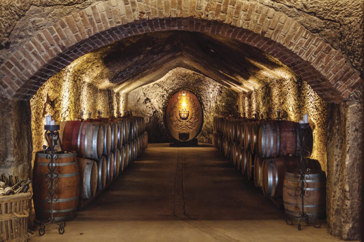 Buena Vista Caves with rows of wine barrels and dim lighting