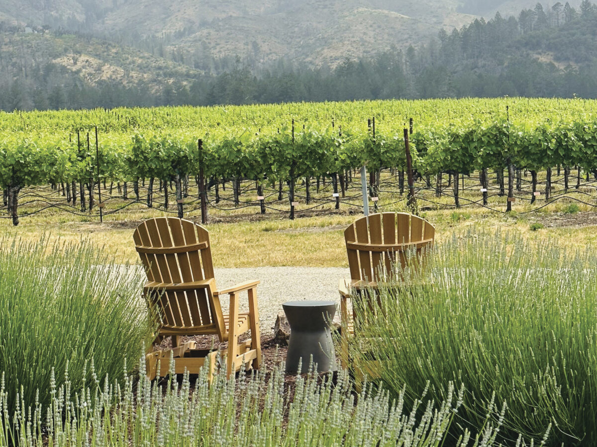 St. Francis Winery and Vineyards with two adorondack chairs