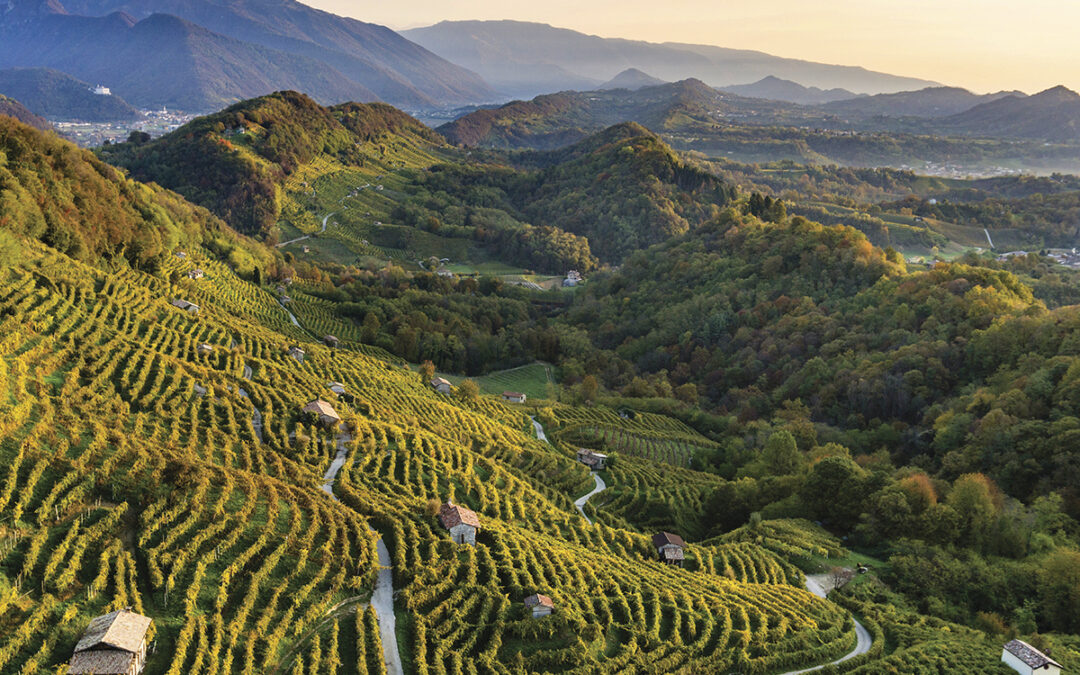 Wine Regions Series: Italy’s Prosecco Heartland