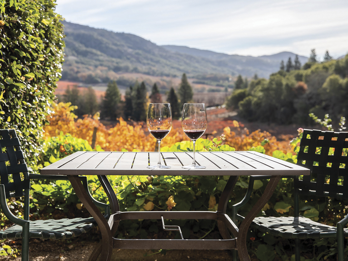 outdoor table and chairs with 2 wine glasses with red wine in front of beautiful vineyard and mountain scene