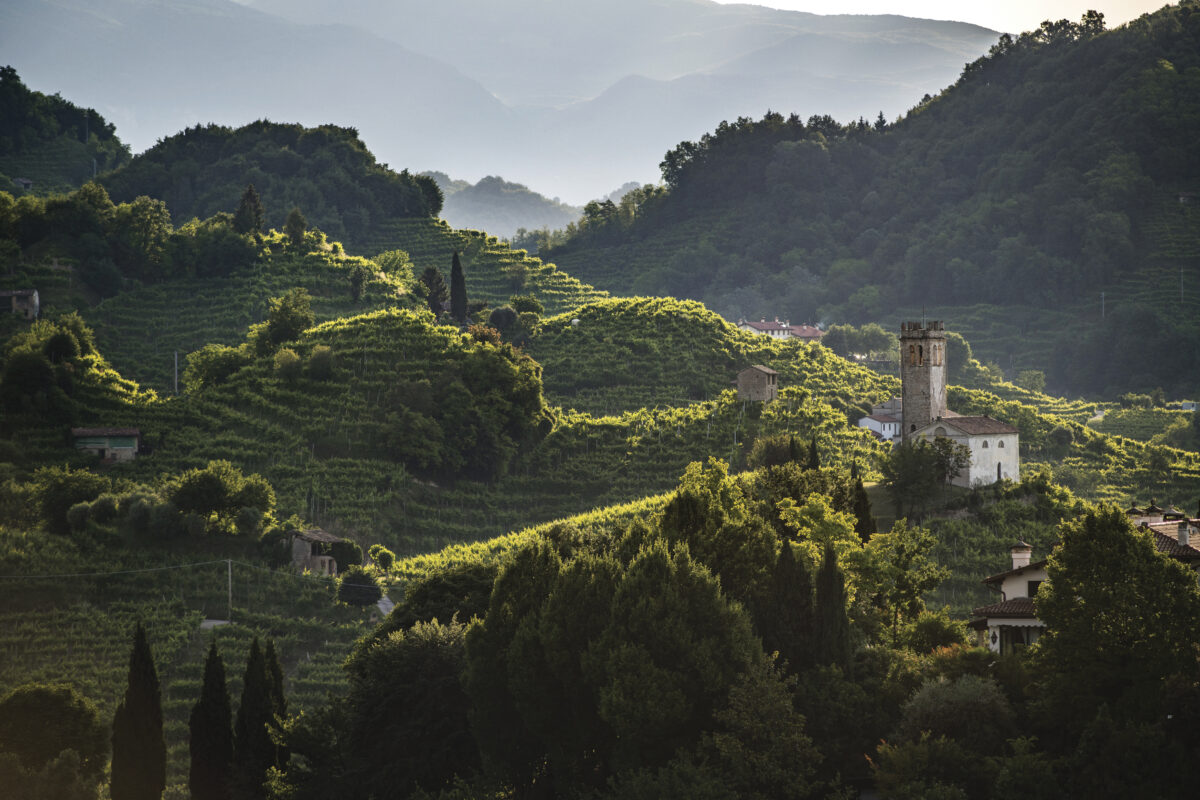 Rolling hills and vineyards in Italy with houses throughout 