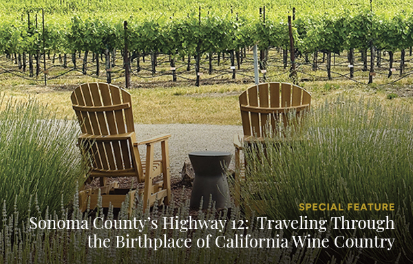 back of wooden chairs facing a green vineyard