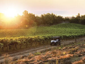 vineyard view with sunset and ATV
