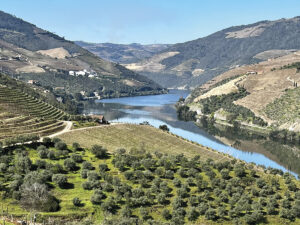The view from São Luiz in the Douro Valley with rolling hills, vineyard, mountains and body of water