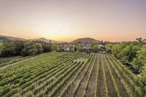 aerial image of the Estate Yountville including vineyard, building and pink-orange aky