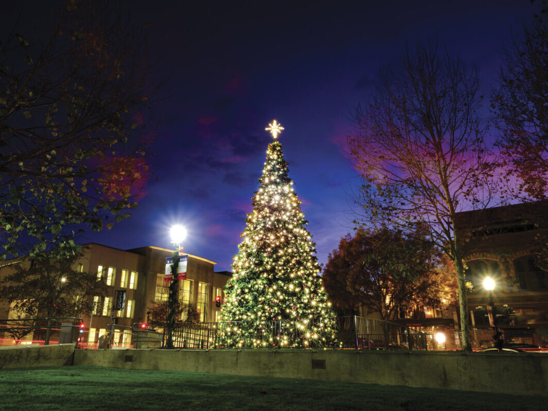 Outdoor lit and decorated Christmas tree with buildings and lampposts nearby and purple sky