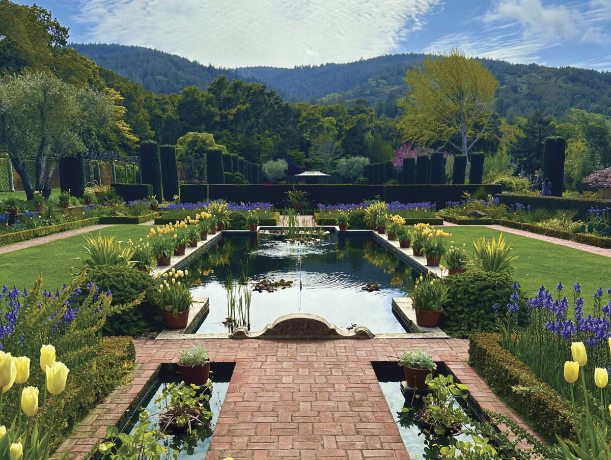 image of green gardens with yellow tulips, several water features and ponds with mountains in the background at Filoli Gardens. Photo by Fran Miller