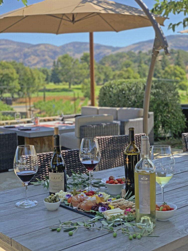 outdoor table set with glasses of wine, appetixers and shaeybrook estate bottle of wine with patio umbrella an mountain and vineyard view in background