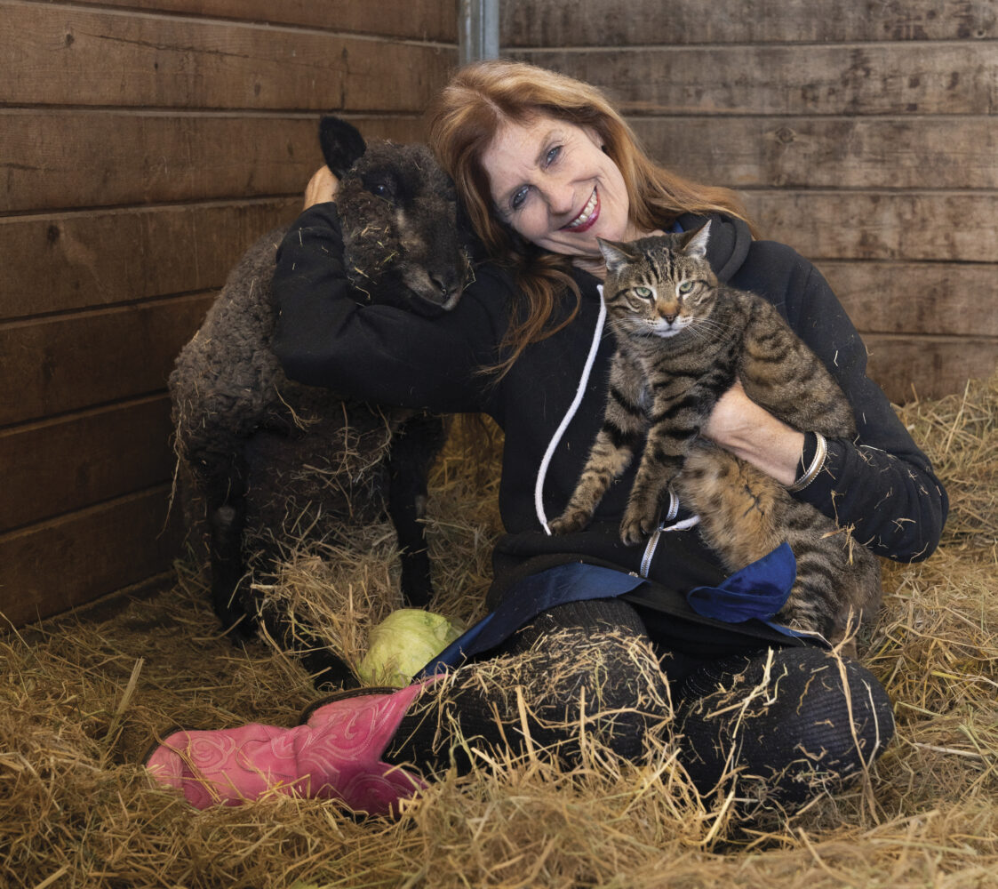 Founder of Jameson Humane, Monica Stevens sitting in a barn on hay with pink boots holding a cat and hugging a sheep