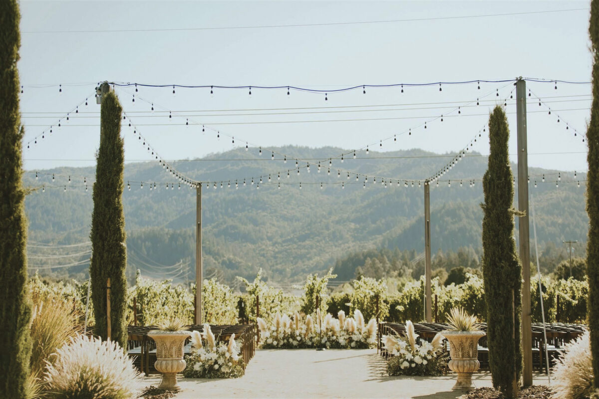 vineyard view from patio with tall, groomed trees and string lights during daytime