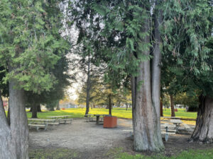view of Fuller Park picnic area with tall trees and picnic tables