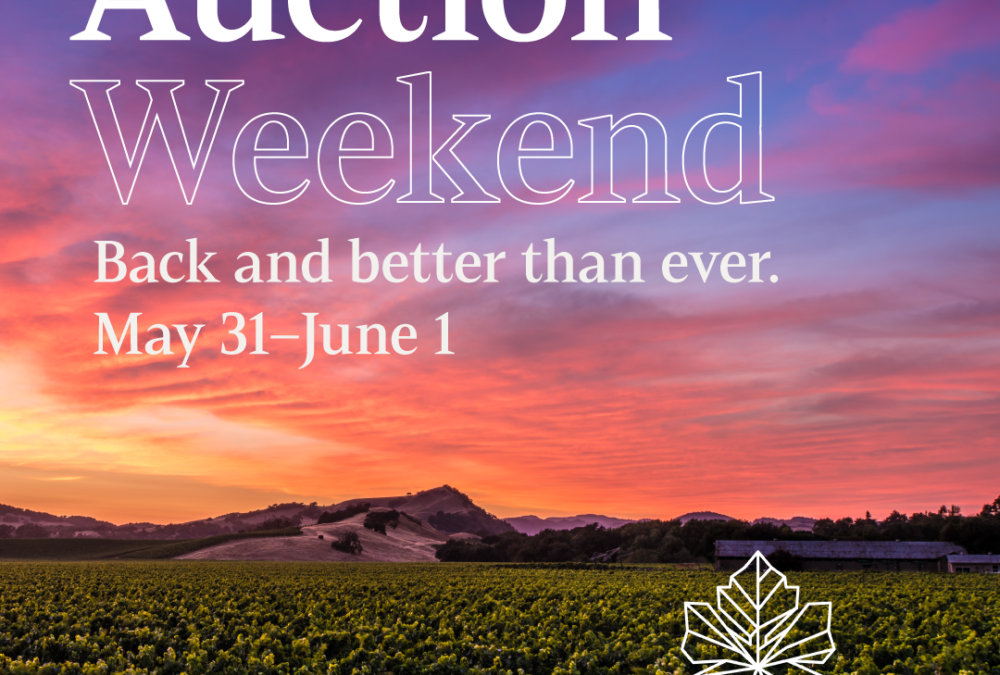 Collective Napa Valley Auction Weekend