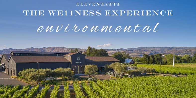 The We11ness Experience : Environmental