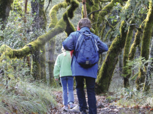 two kids in bright jackets waking with backpacks in Bothe State Park Trail with mossy trees