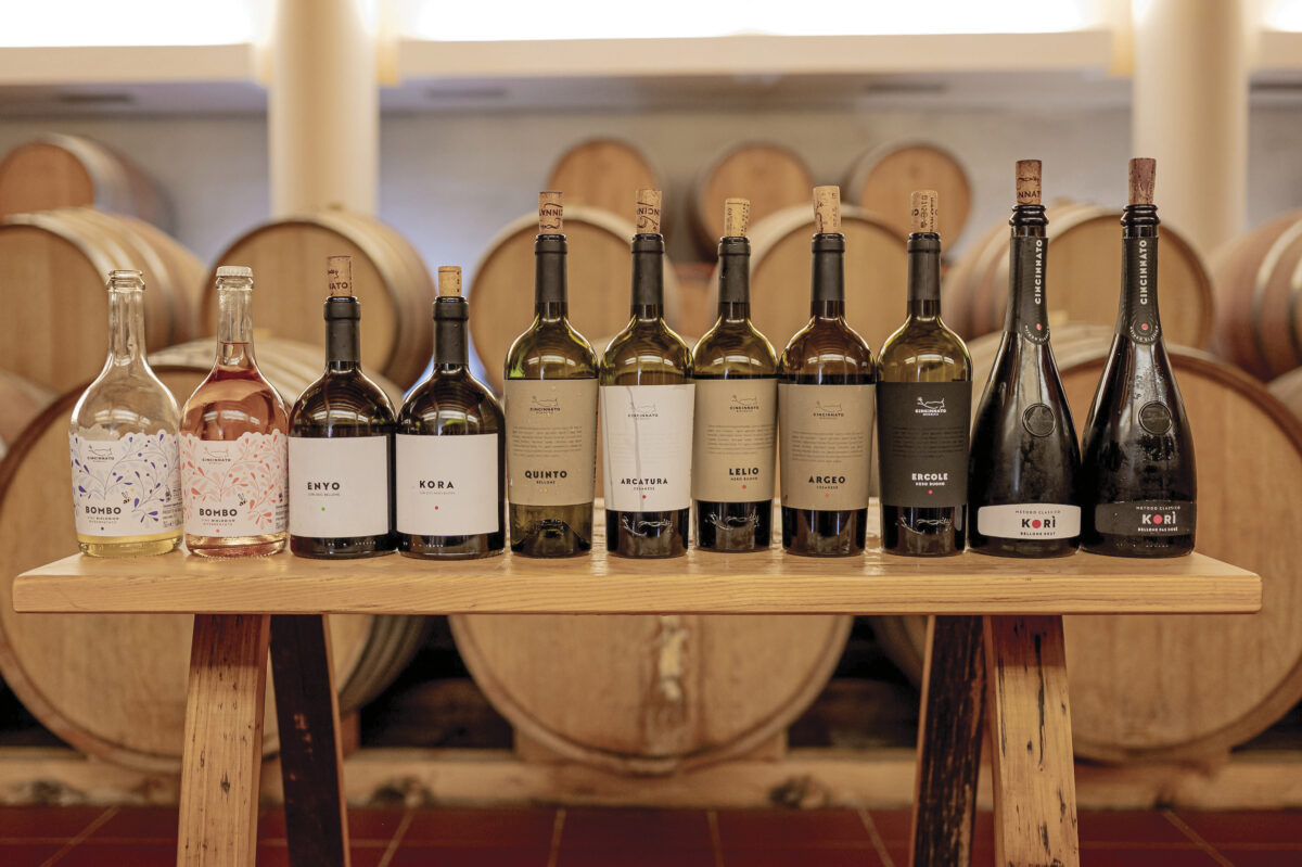 Cincinnato Lineup of bottles of wine on wooden table with wine barrels in background