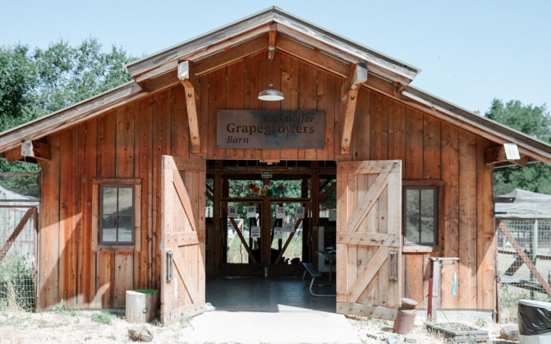 Farm Open House