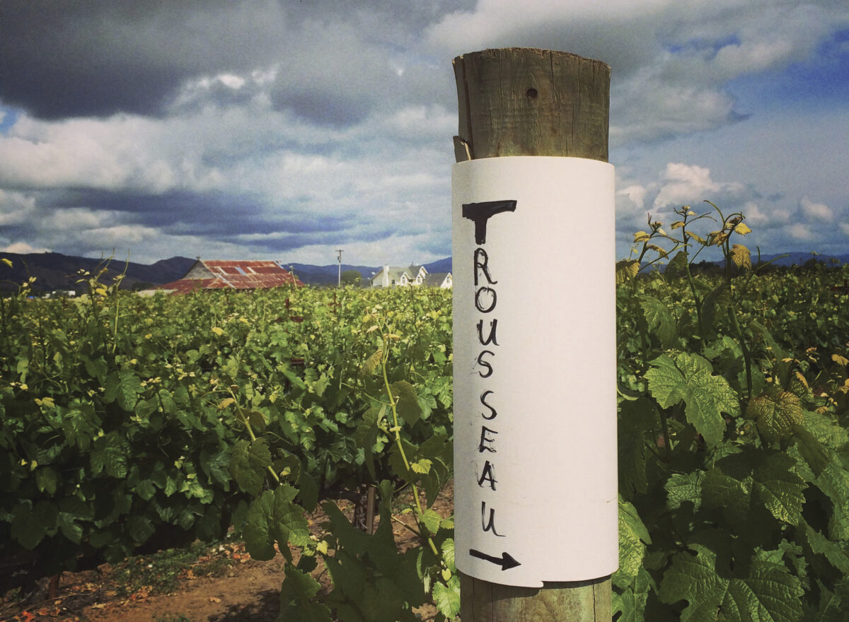 vineyard with vertical sign with word Trousseah painted on it