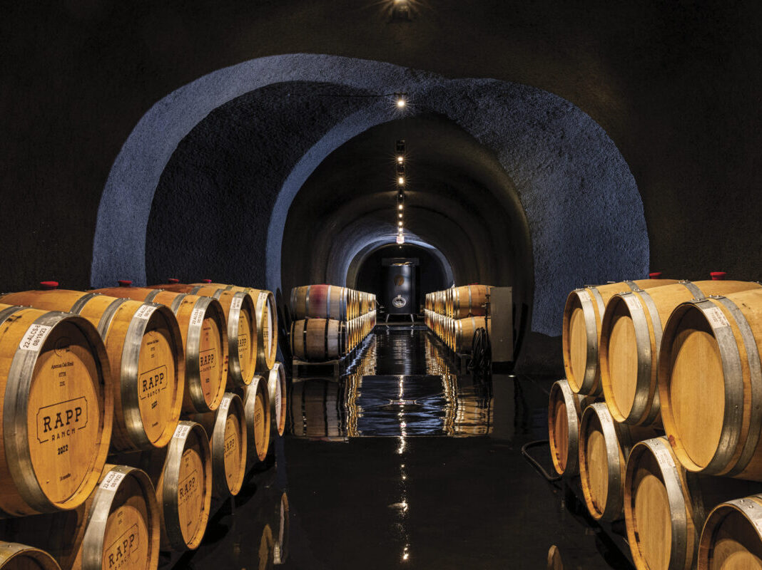 Shadybrook Cave with wooden wine barrels in dark background