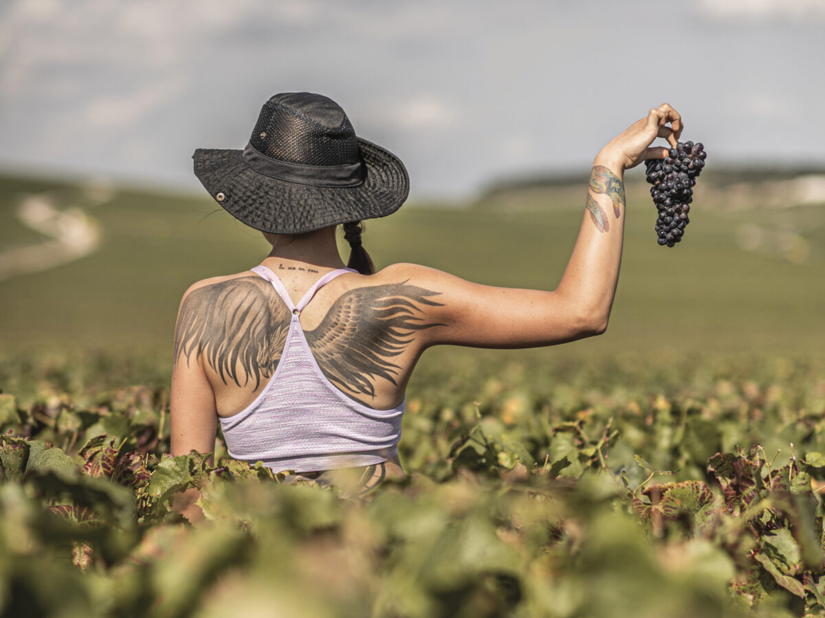 woman facing away from the camera, wearing a hat, with back tattoo, holding grapes, walking through a vineyard