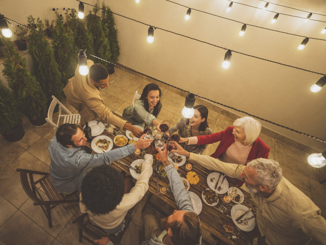 footage of a multiethnic group of people toasting wine on a patio with string lights above.