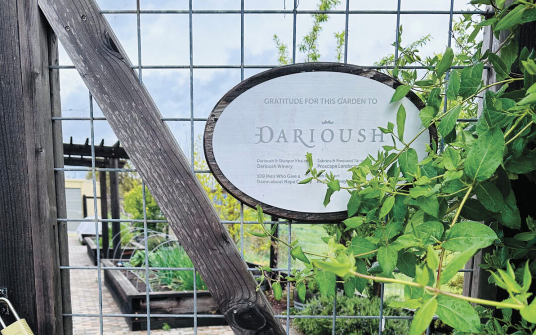 The Darioush Garden at OLE Health