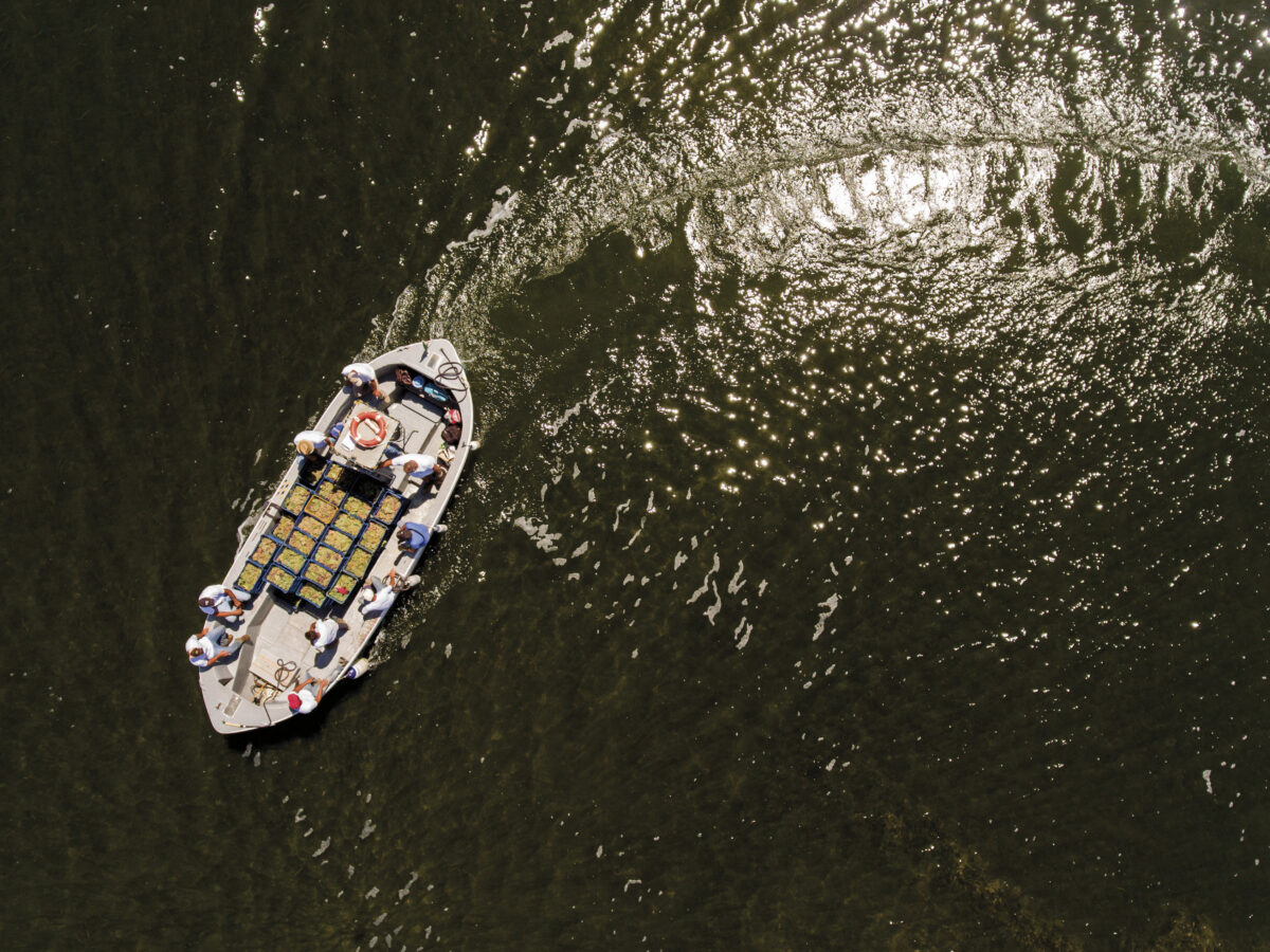 aerial view of cargo boat in water