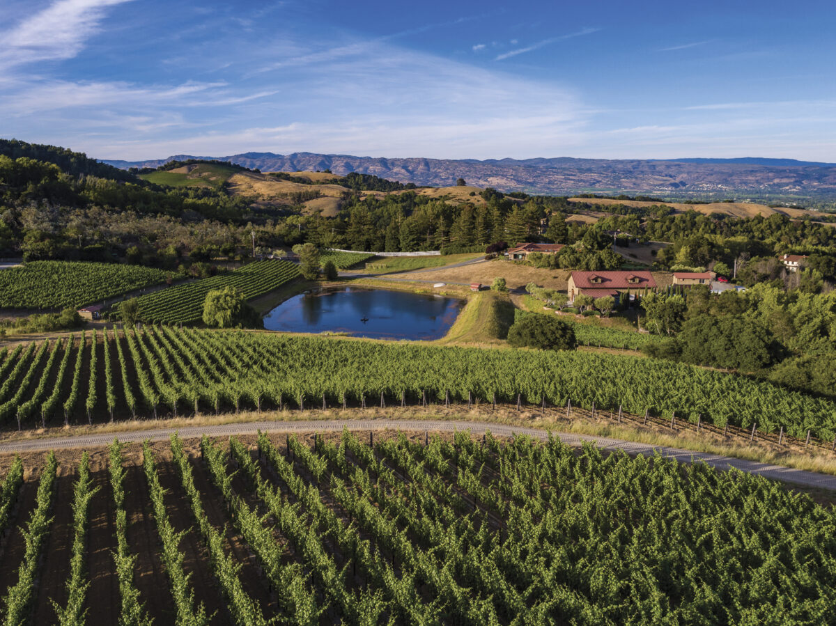 vineyard view of Fontanella Vineyards with blue sky