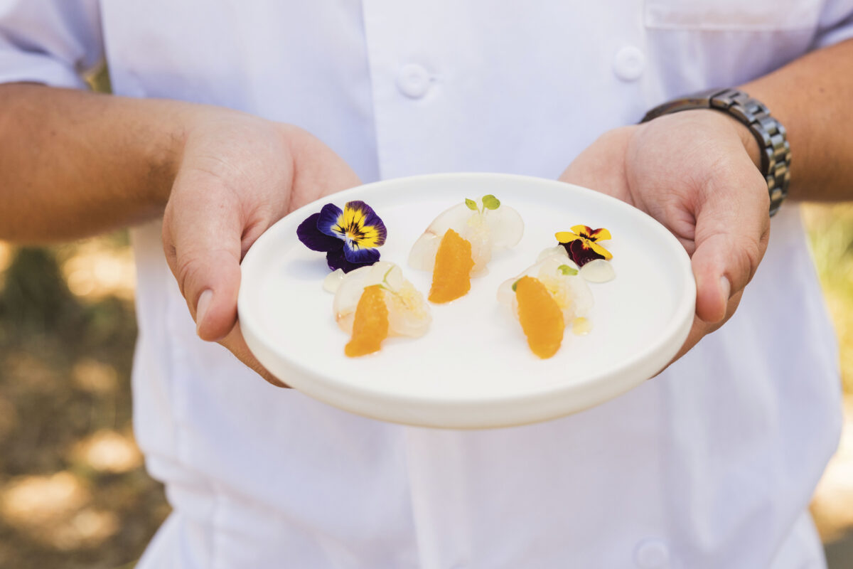 person in white shirt holding white plate with food