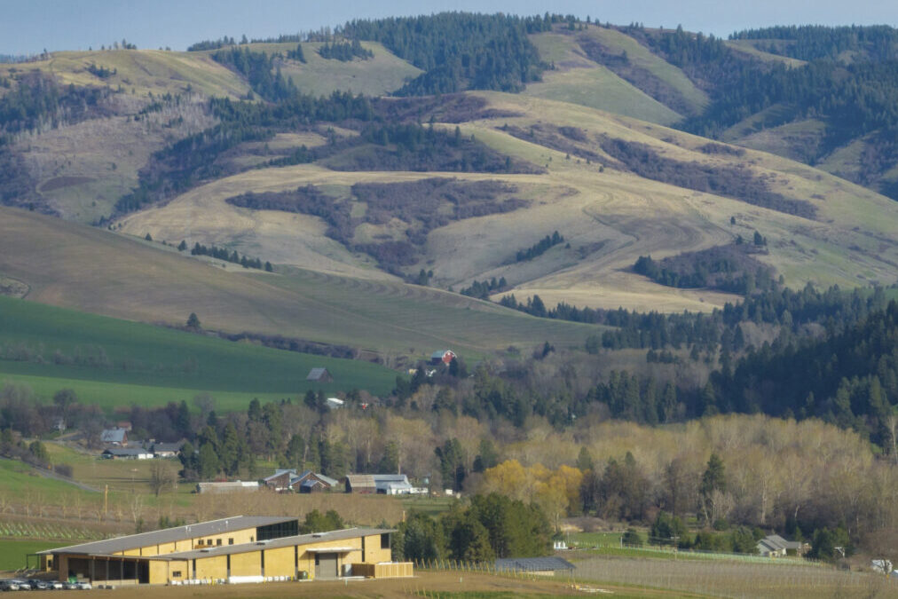 Wine Regions Series: Washington State