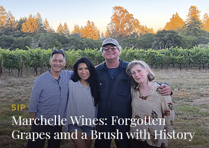 Couple sitting down facing away towards a vineyard view