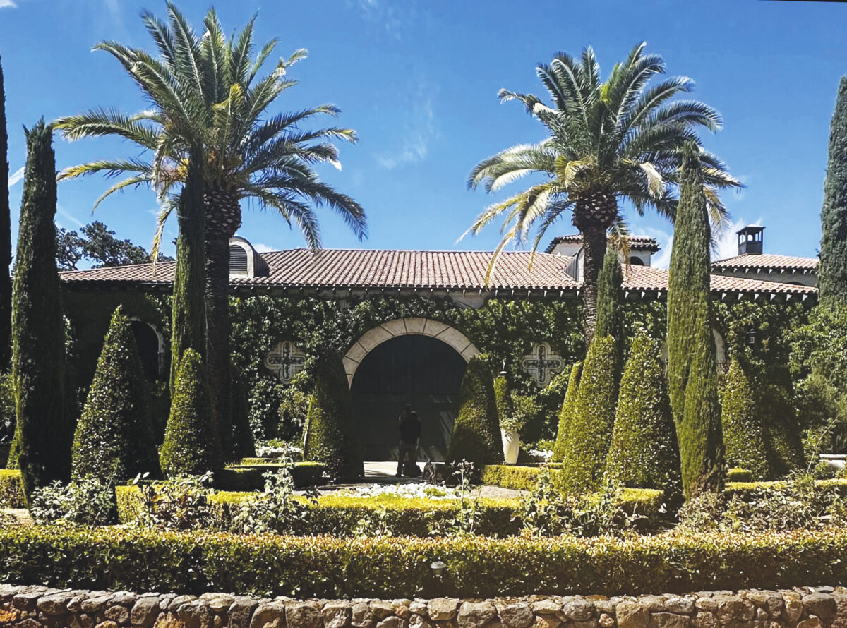 Brassfield Estates in Lake County with vines on building and palm trees in front