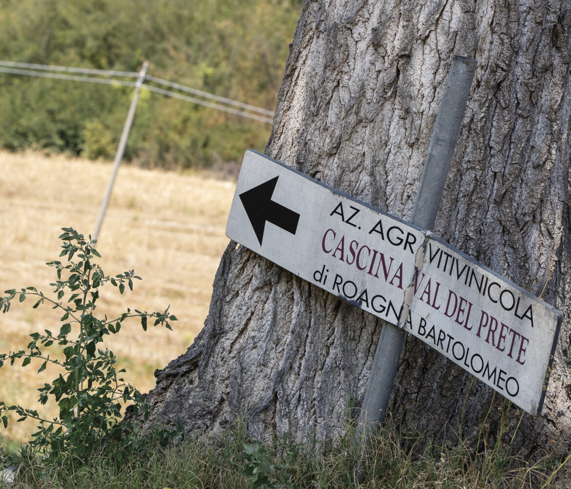 sign with arrow on tree that says "Cascina Val Del Prete" with field and trees in background for the article Piedmont's Bounty