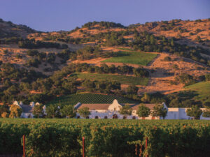 Chimney Rock Winery Stags Leap showing mountains in the sun and white building and vines in foreground