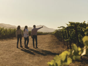 3 people walking away from camera on dirt road with vines on either side for the article CHANDON