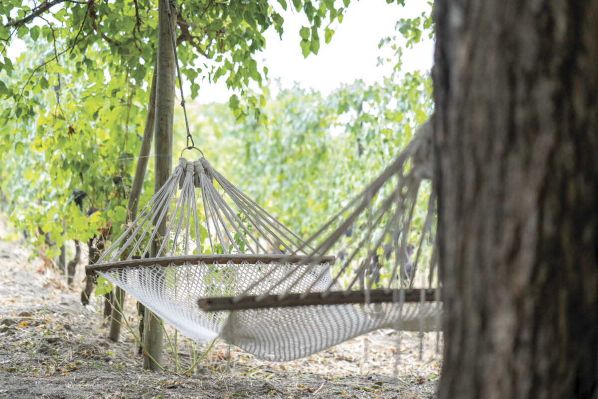 rope hammock hung on trees