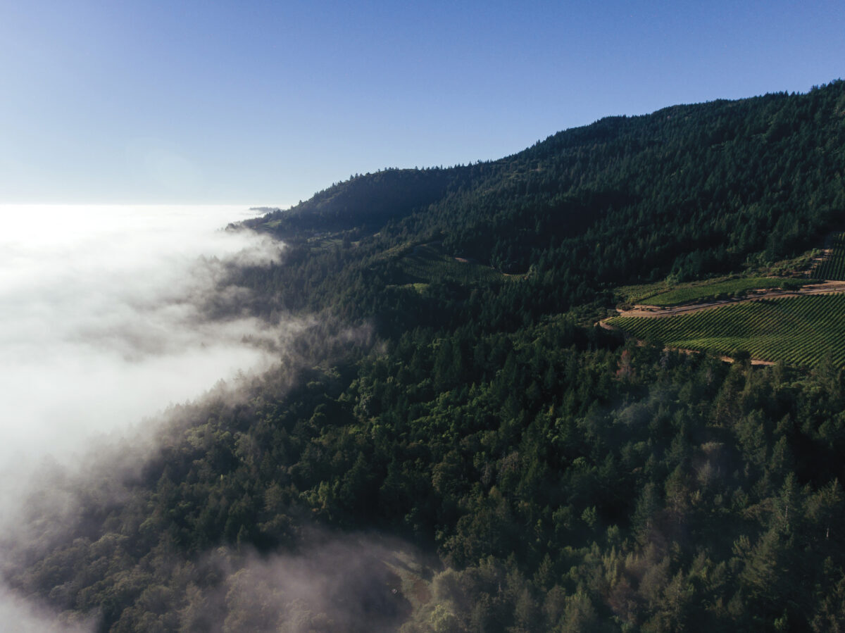 clouds creeping up on mountain with vines with blue sky for the article Heroic Vineyards