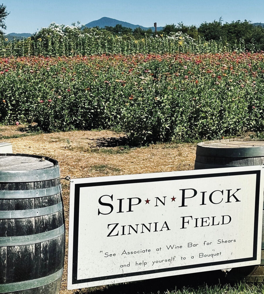 sign that reads "Sip N Pick" with greenery behind and wine barrels next to it