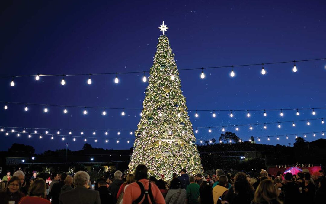 Napa Valley Dressed in Holiday Style