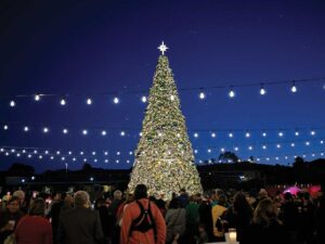 large, lit holiday christmas tree in outdoor space at Meritage Resort with string lights around with a crowd