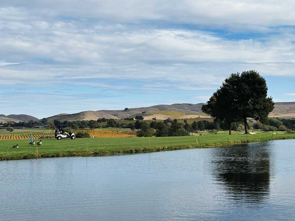 Eagle Vines Golf Club in American Canyon with lake in foregrounds golf course with cart, trees and geese and blue sky