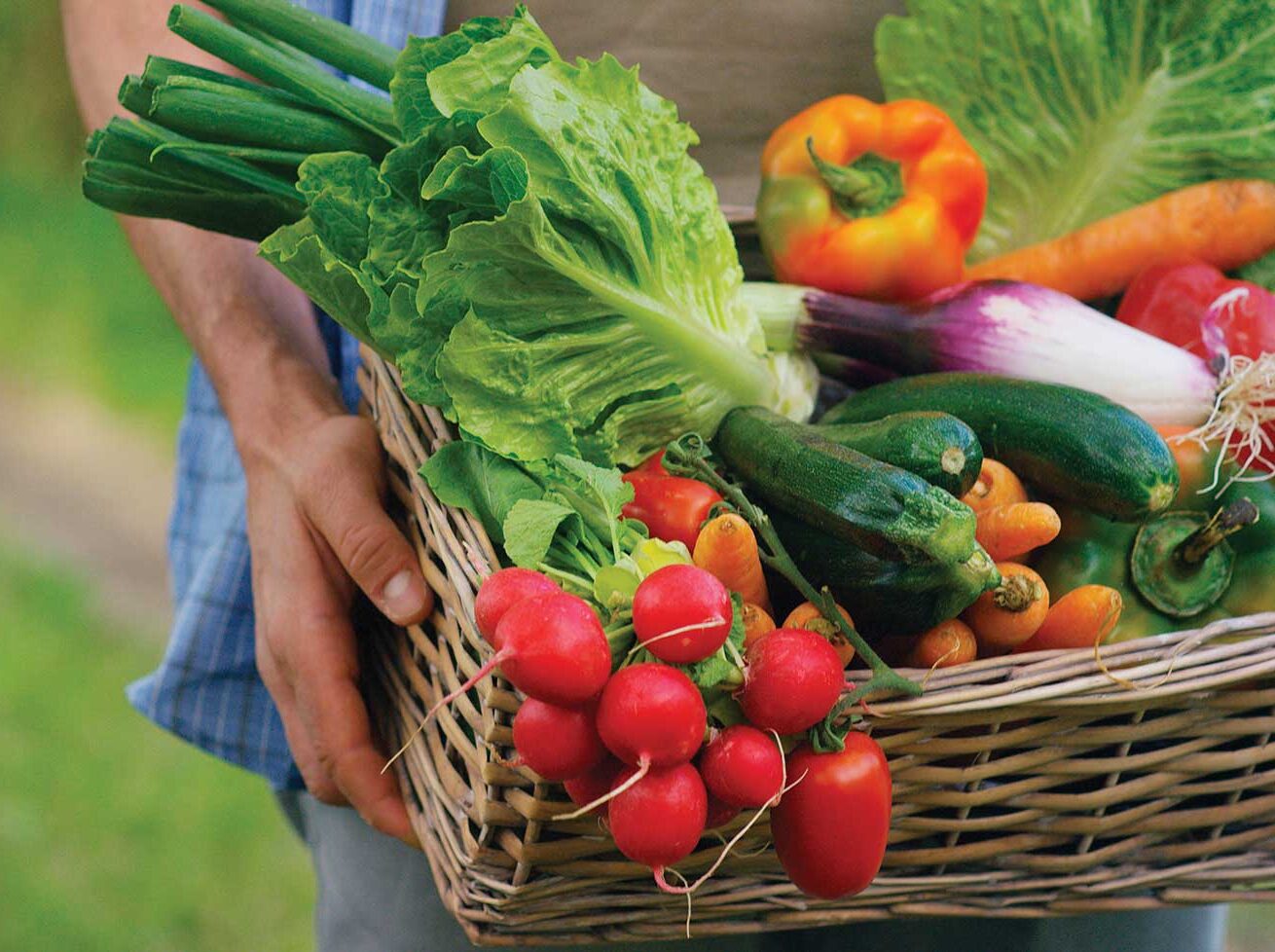 person holding a basket of colorful vegetables including radishes, kale, peppers and turnips for the new year article