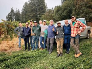 Group of Pinot Meunier Harvest Crew at Marchelle Wines