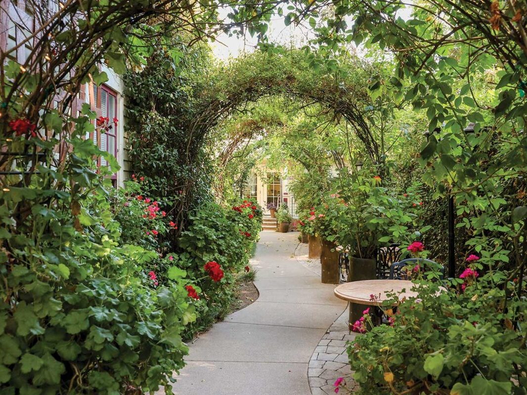 Copy-of-Romeo-9 concrete walkway with vines and roses growing over archway at Romeo Vineyards in Calistoga