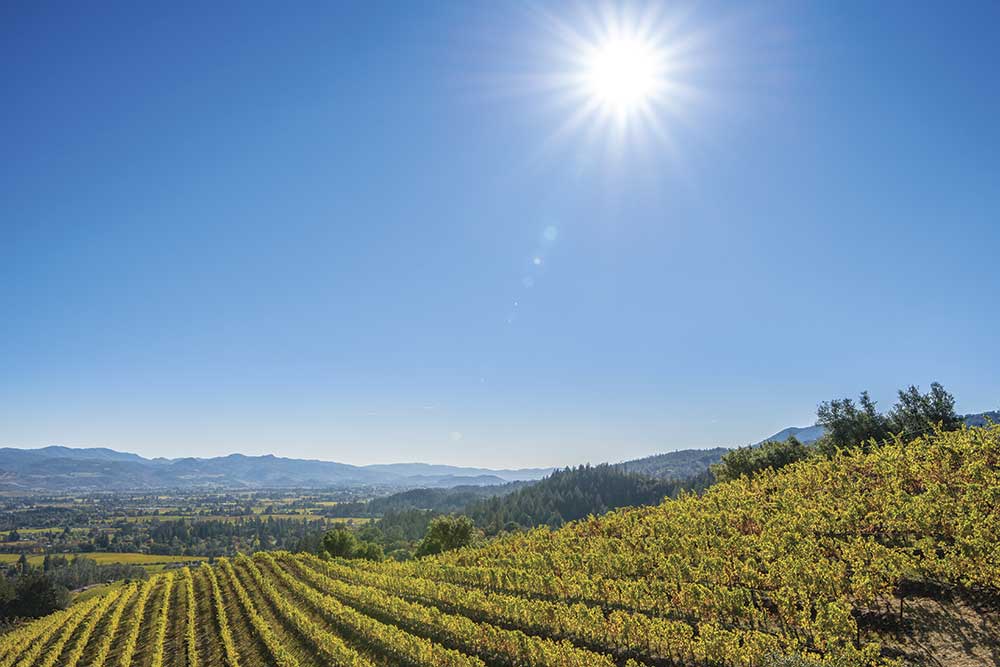 vineyard view in Napa Valley with rolling hills and mountains in background with sun in blue sky