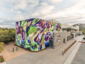 exterior mural on building in Napa Valley for paint brush article