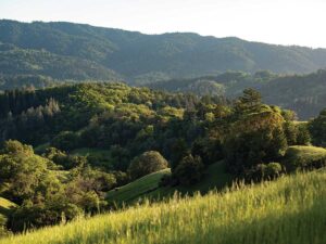 Inland Mendocino Hills pictured with green rolling hills and mountains in the background